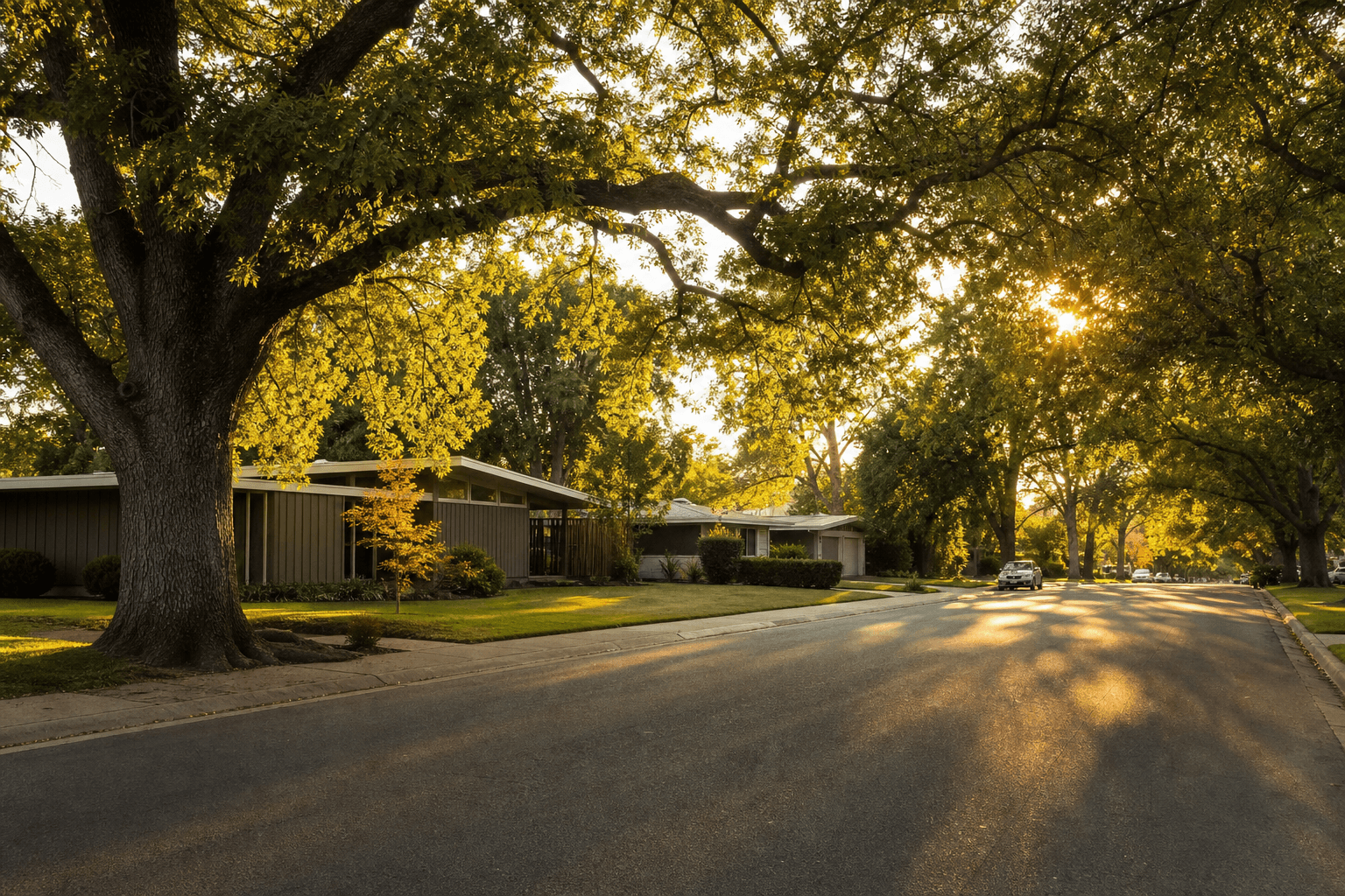 A Sacramento neighborhood street near Land Park in late-afternoon light